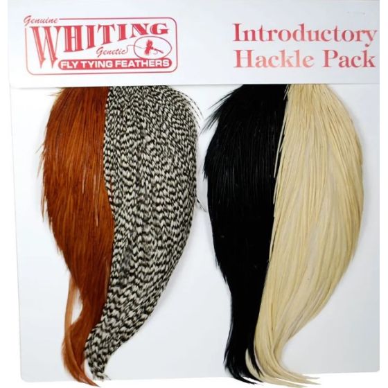 Introductory Hackle Pack ( 4 medios cuellos )