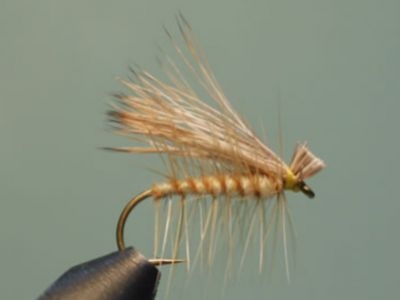 Elk Hair Caddis