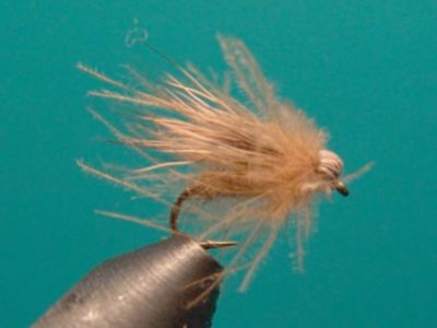 Beltramo Caddis