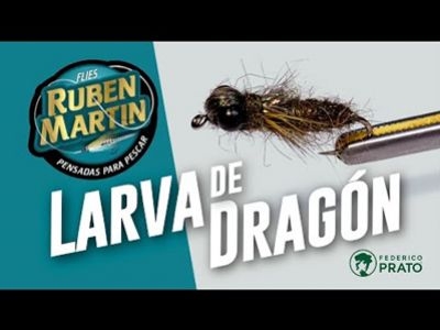 Larva de Dragon