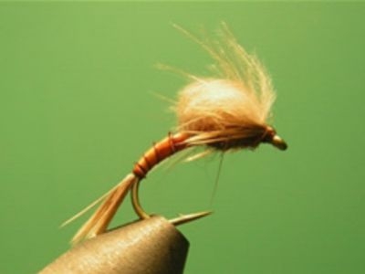 CDC Loop Wing Emerger