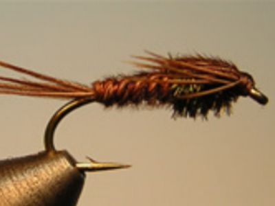 Pheasant Tail