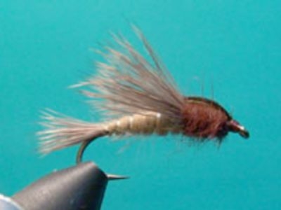 RAM Aluminé Caddis