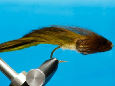 Wool Head Sculpin