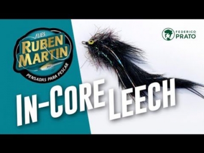 In-Core Leech