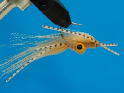 Bonefish Squimp