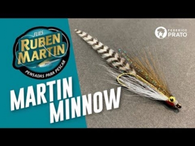 Martin Minnow