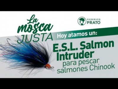 E.S.L. Salmon Intruder