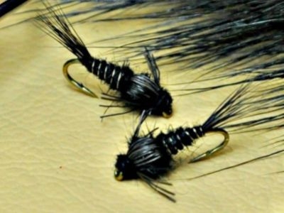 A. P. Nymph Black