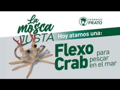 Mini Flexo Crab