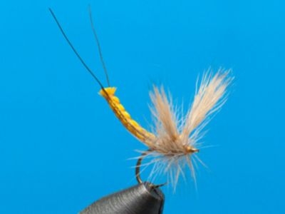  Mayfly Extend Body