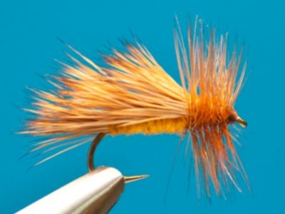 Nelson Caddis