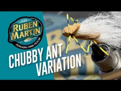 Chubby Ant Variation