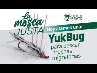 Yuk Bug