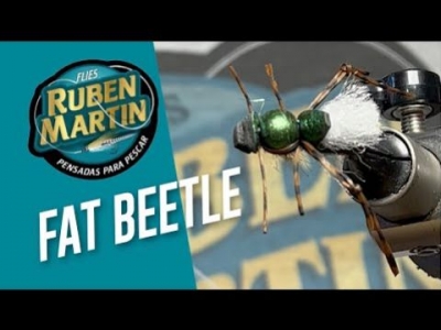 Fat Beetle