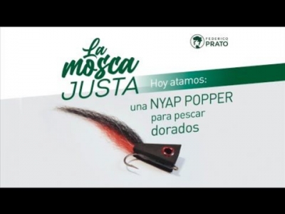 NYAP Popper