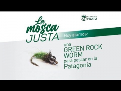 Green Rock Worm