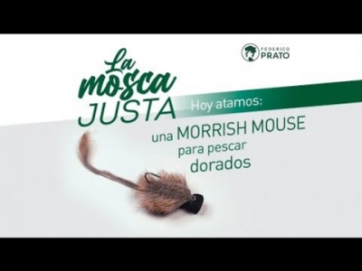 Morrish Mouse