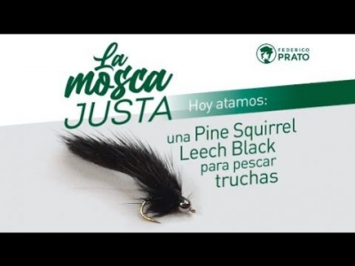 Pine Squirrel Leech Black