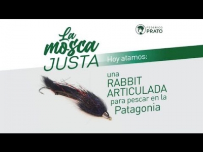 Rabbit articulada