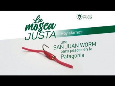 San Juan Worm