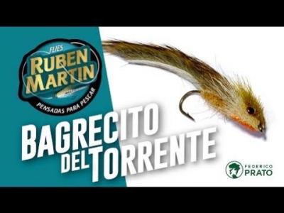 Bagrecito del Torrente