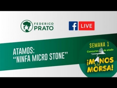 Ninfa Micro Stone